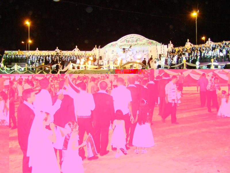 Hamas sponsored mass pedophile wedding